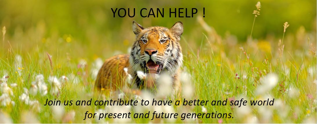 Tiger and text YOU CAN HELP